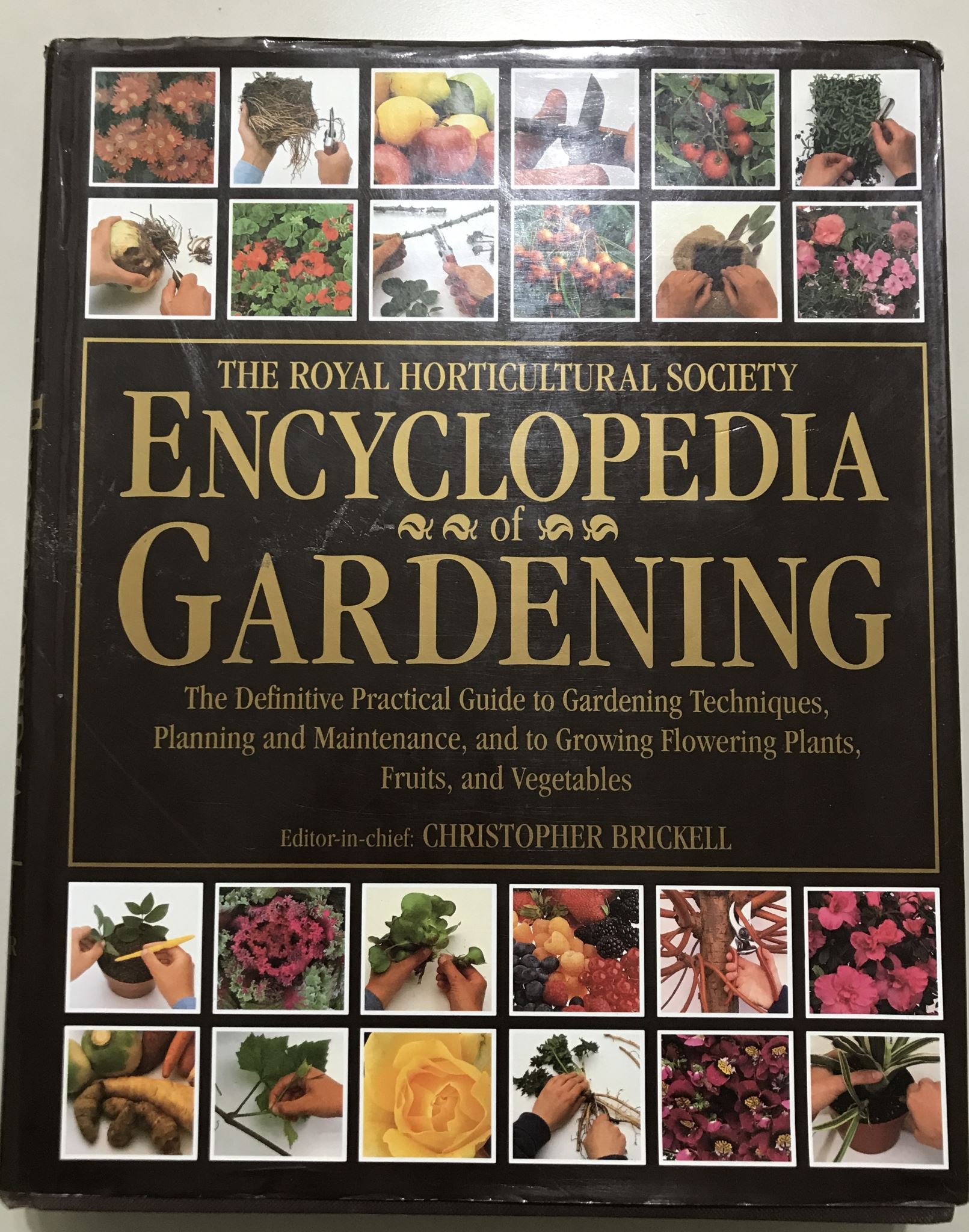 The Royal Horticultural Society Encyclopedia of Gardening